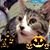 Kathi Hess's profile image