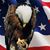Karen Eliser's profile image