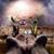 Christine D'Angelo's profile image