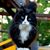 Meg Graham Weglarz's profile image