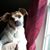 Stephanie Talley Atkins's profile image