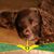 Tammy Schnabel's profile image