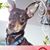 Christine L Amirault's profile image