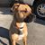 Rebeca Hernandez's profile image
