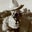 Dale Jerge's profile image