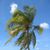 David Wurster's profile image