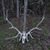 David Roark's profile image