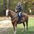 Tabby Coomer-Foster's profile image