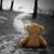 Roxanne Marrero's profile image
