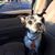 Kathy Tipton's profile image