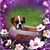 Elena M Fernandez-Badie's profile image