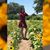 Brittney Jean Marie Hoeffer's profile image