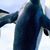 Marcia DaCosta's profile image