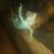 Erica Hanshaw's profile image