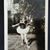 Nancy Brew-Switzer's profile image