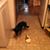 Janey Marie Voltz Guist's profile image