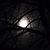 Cyndi Ann's profile image