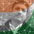 Rajesh Patel's profile image