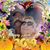 Nancy Penhollow Cowl's profile image