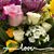 Dixie Dopp Olson's profile image