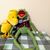 Beejal Shah's profile image