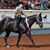 Angie Scheckel's profile image