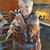 Sheri Curran Hassell's profile image