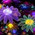 Jo Ann Ferrell's profile image