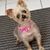 Judy Lynn Hines's profile image