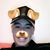 Eddie Flako's profile image