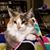 Patti Wolf Dobyns's profile image