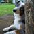 Kara Grace Jackson's profile image