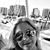 Lori Martin Sheaffer's profile image