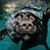 Alethea Pedersen's profile image