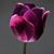 Cynthia Liggett's profile image