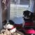 Beverly Neureuther Johnson's profile image