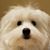 Janice Falk O'Connor's profile image