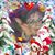 Barbara Romano's profile image