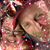 Michelle Smith-Perry's profile image