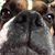 Dawn McClelland Guckin's profile image