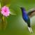 Dora Marquez's profile image