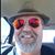 Mark Hamilton's profile image
