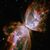Ramona Adamson-Whiting's profile image