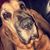 Dori Hansen Clements's profile image
