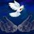 Maria Quintania's profile image