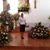 Maria Guadalupe Gaona Melgoza's profile image