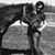 Sonya Mckelvey's profile image