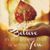 Susie Raye-Marcano's profile image