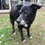 Erin Gesino Vernon's profile image