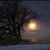 Tracy Timmerman Jeffries's profile image